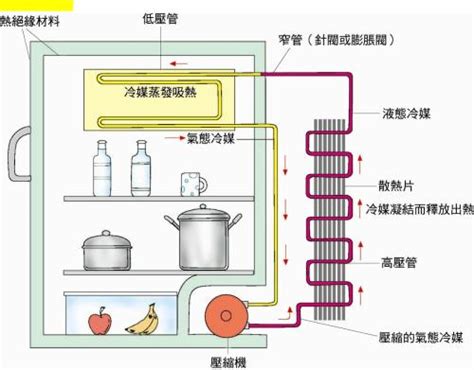 冰箱運作原理|冰箱的工作原理以及它的循環是怎樣的